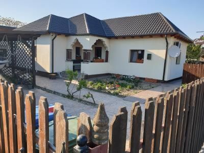 Гостевой дом Casa Carter Сфынту-Георге-18
