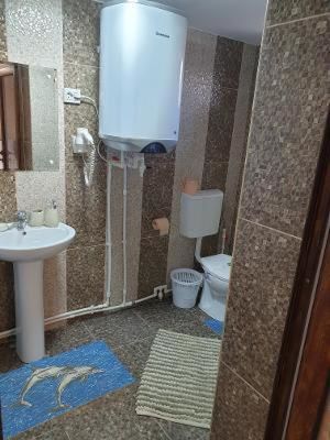 Гостевой дом Casa Carter Сфынту-Георге-23