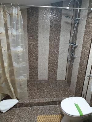 Гостевой дом Casa Carter Сфынту-Георге-7