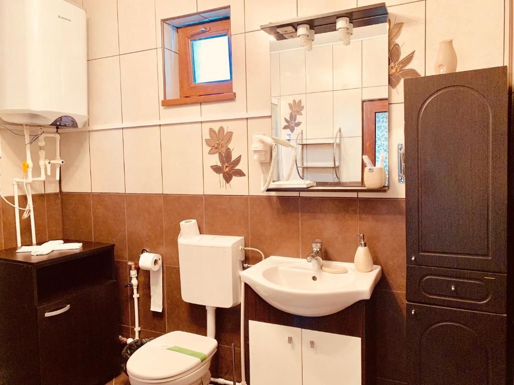 Гостевой дом Casa Carter Сфынту-Георге-56