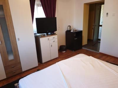 Гостевой дом Casa Carter Сфынту-Георге-60