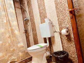 Гостевой дом Casa Carter Сфынту-Георге Двухместный номер с 1 кроватью и собственной ванной комнатой-4