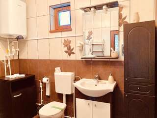 Гостевой дом Casa Carter Сфынту-Георге Двухместный номер с 1 кроватью и собственной ванной комнатой-15