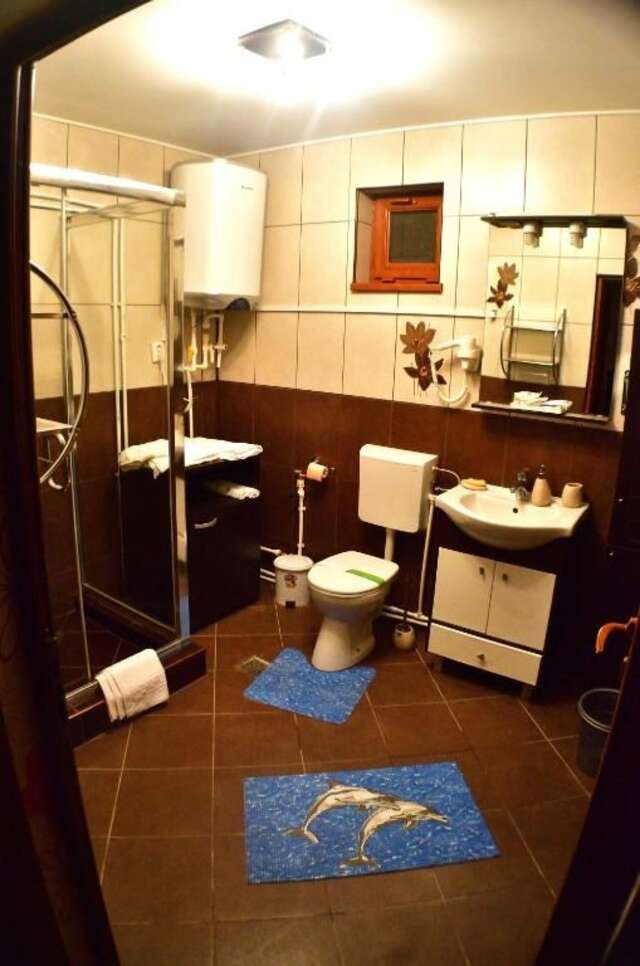 Гостевой дом Casa Carter Сфынту-Георге-51